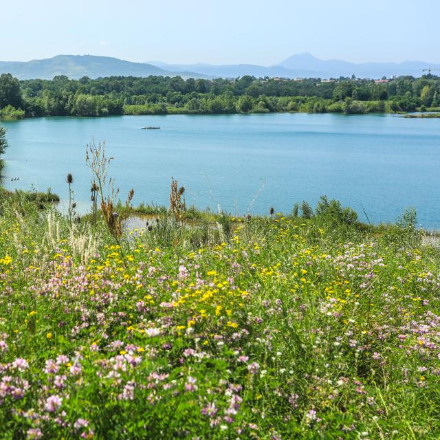 Ecopôle à Pérignat-es-Allier