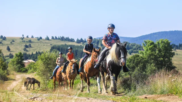 Horseback riding in Montcodiol