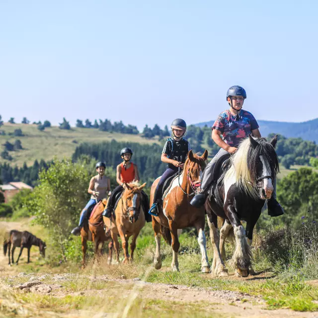 Balade à cheval à Montcodiol