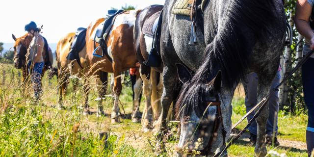 Balade à cheval à Montcodiol