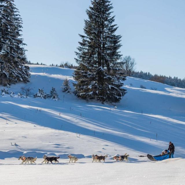 Chalet Des Siberiens 1