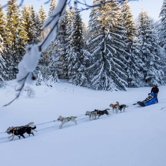 Chalet Des Siberiens 3