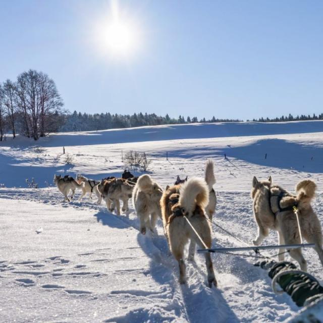 Chalets Des Siberiens