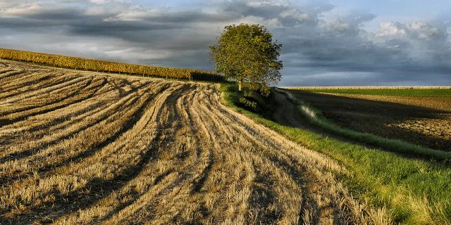 Saint-Julien-de-Coppel - Paysage 7