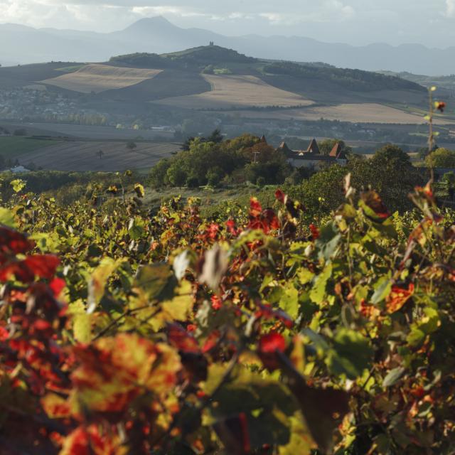 Vue sur vigne dEgliseneuve pres Billom 1