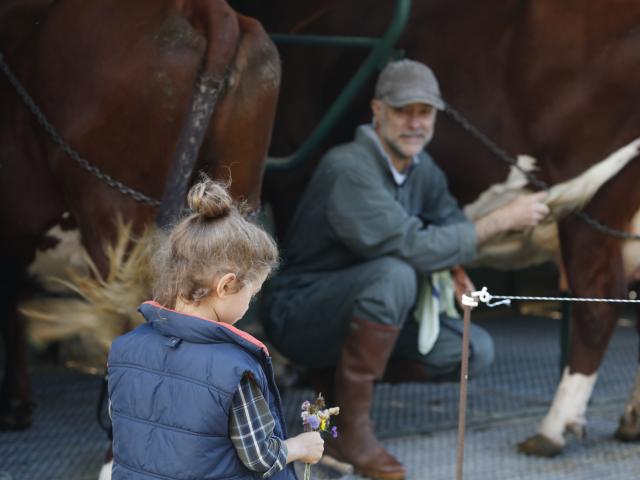 Ferme des Supeyres Valcivières 2