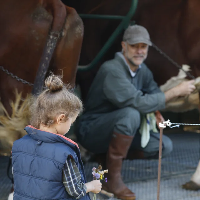 Petite fille avec un bouquet de fleurs s’approchant d’un fermier près de ses vaches à la ferme des Supeyres.