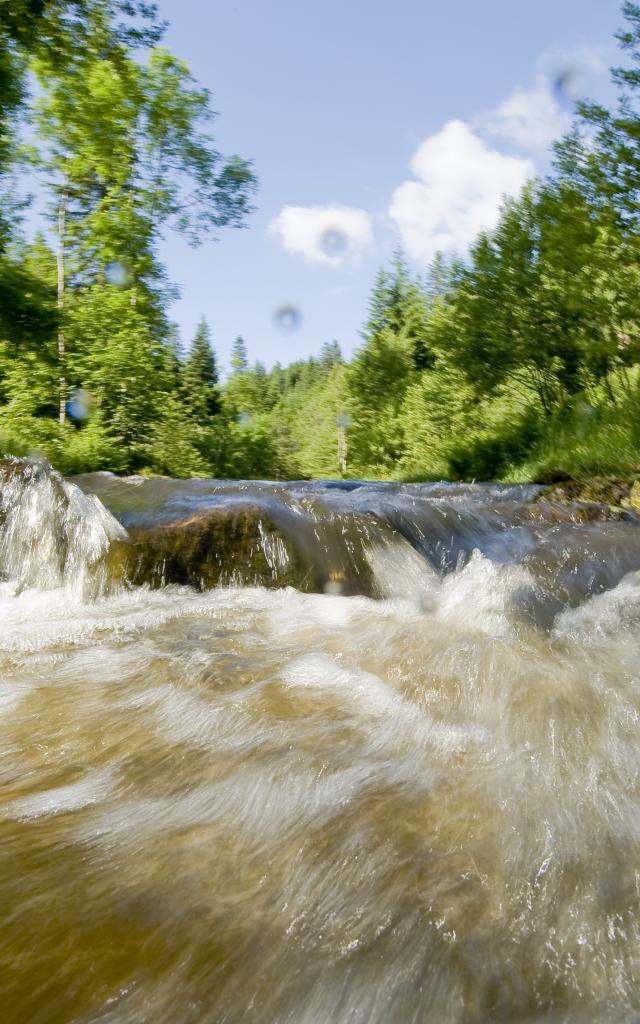 Gorges de la Dore 1