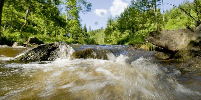 Gorges de la Dore 1