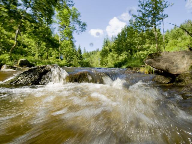 Gorges de la Dore 1