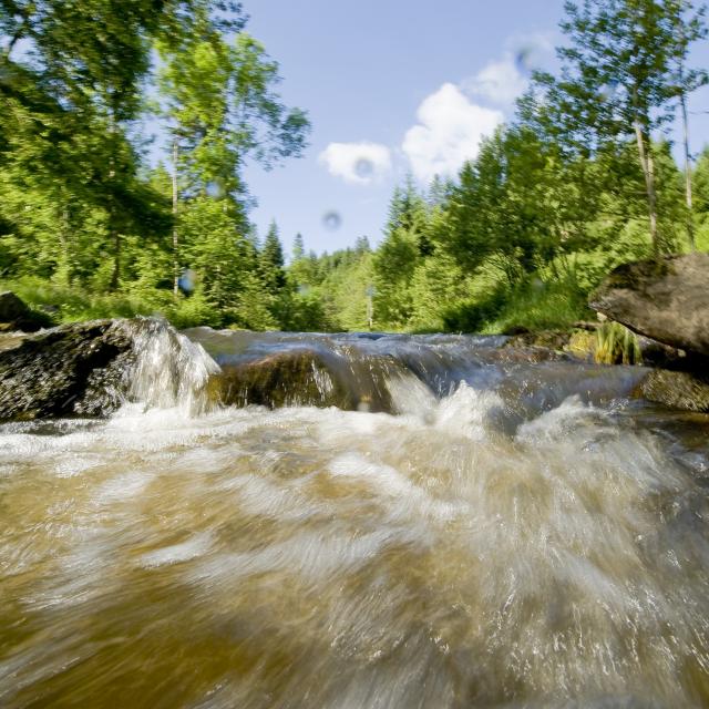 Gorges de la Dore 1