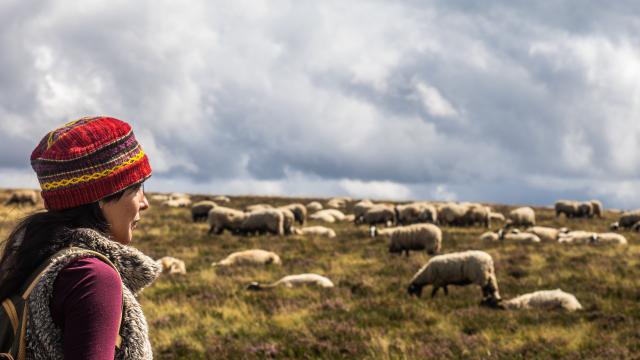 Hautes-Chaumes du Forez - Hikers