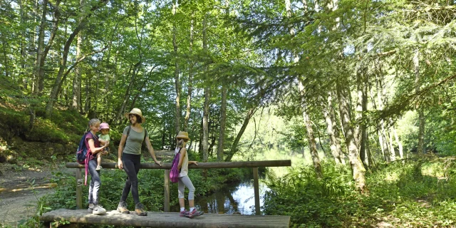 Barrage de la Muratte, Palladuc