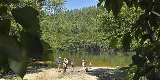 Barrage de la Muratte, Palladuc