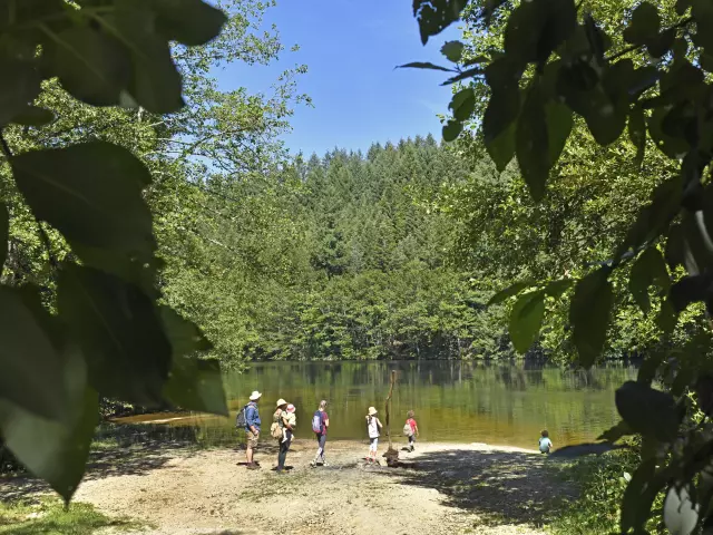 Barrage de la Muratte, Palladuc