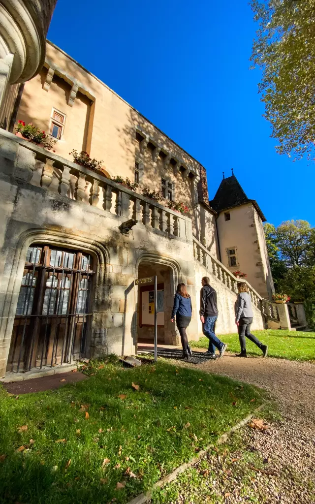 Château d'Aulteribe Escaliers 5