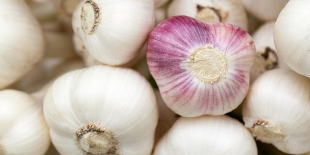 Garlic 84691 1920 1200x800 1