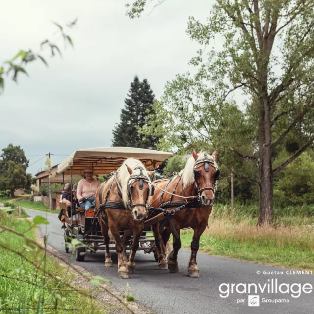 Balade des Varennes en attelage