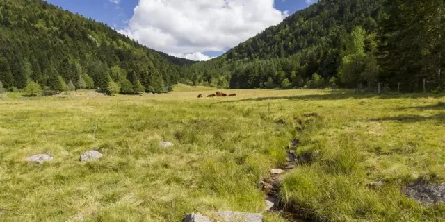 Vallée du Fossat