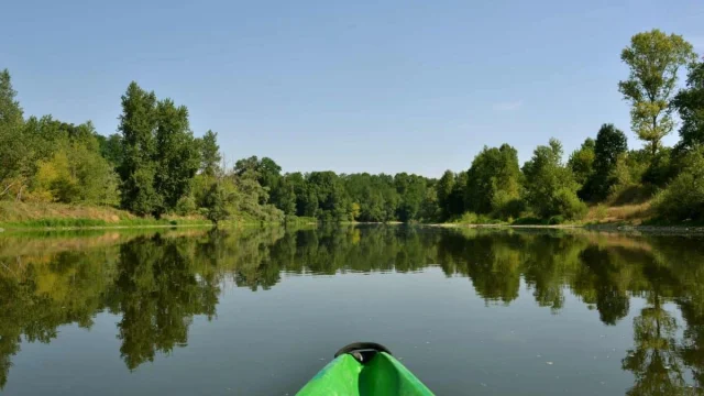 Vue depuis un canoë sur l'Allier, rivière sauvage bordée d'arbres.