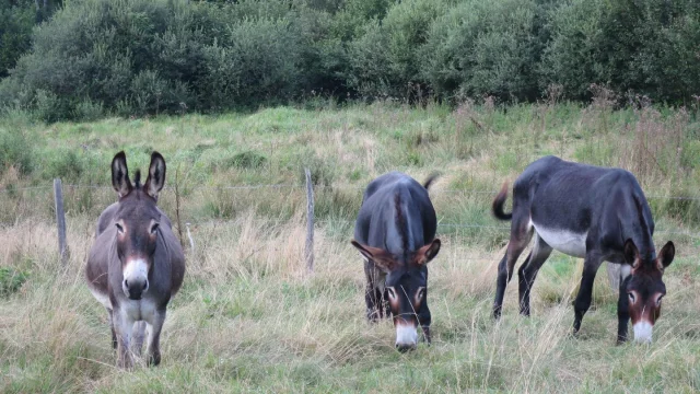 La Ferme Qui Prend Racines