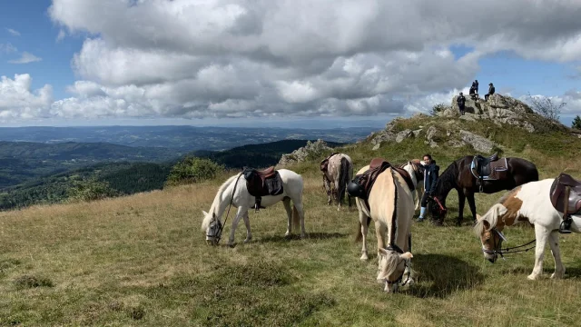 Horseback riding