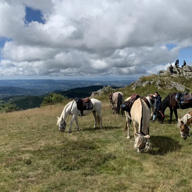 Rando à cheval