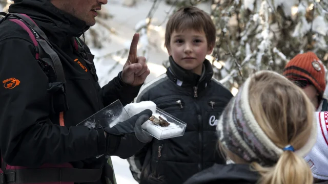 Visite guidée dans un paysage enneigé, un guide explique des sujets naturels aux enfants, tous bien habillés pour l'hiver.