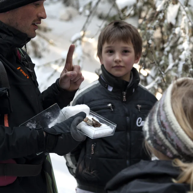 Visite guidée dans un paysage enneigé, un guide explique des sujets naturels aux enfants, tous bien habillés pour l'hiver.