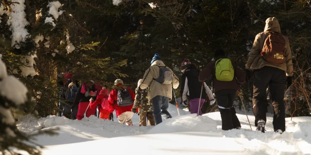 Groupe de personnes marchant dans la neige, entourés de sapins, en randonnée hivernale à Prabouré.