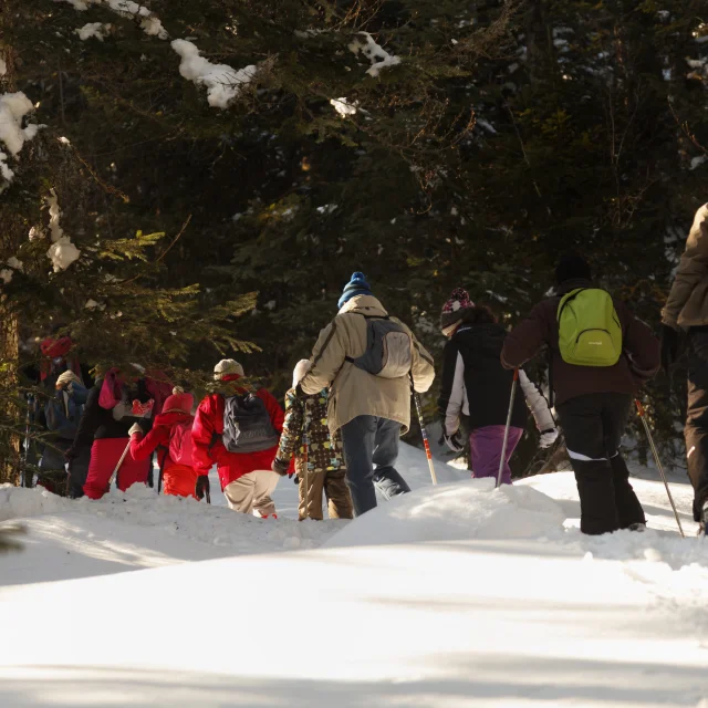 Groupe de personnes marchant dans la neige, entourés de sapins, en randonnée hivernale à Prabouré.