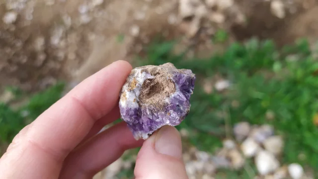 Petite améthyste dans une main, représentant la rareté et la beauté des cristaux d'Auvergne.