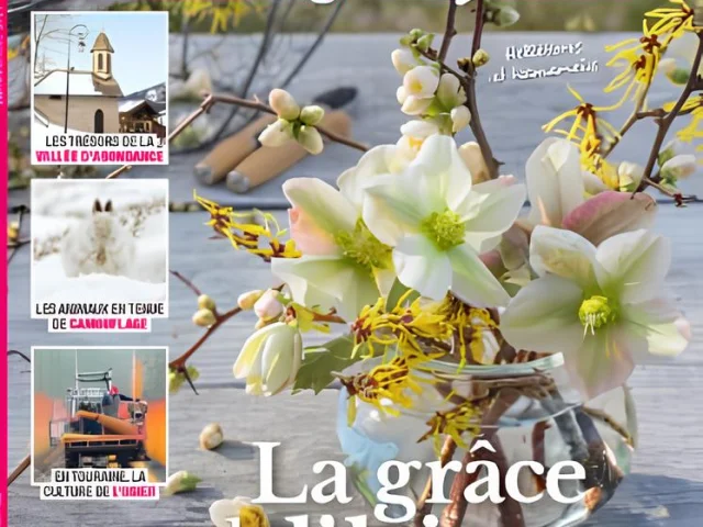 Couverture du magazine Esprit d’Ici (Janvier-Février 2025) mettant en avant un bouquet hivernal dans un vase, avec des articles sur la nature et le terroir.