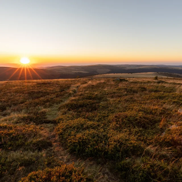 Coucher de soleil doré sur les Hautes-Chaumes.